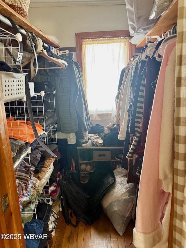 61 W Houston Ave, Montgomery, PA 17752 - walk in closet with hardwood / wood-style flooring