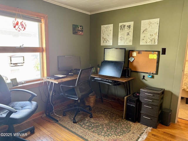 61 W Houston Ave, Montgomery, PA 17752 - office with wood finished floors, healthy amount of natural light, and crown molding