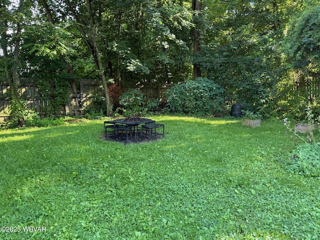 61 W Houston Ave, Montgomery, PA 17752 - view of yard with a fire pit