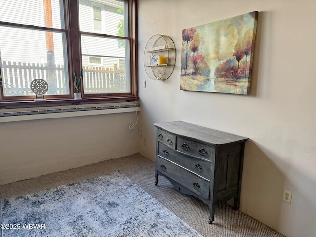 61 W Houston Ave, Montgomery, PA 17752 - detailed view of carpet flooring