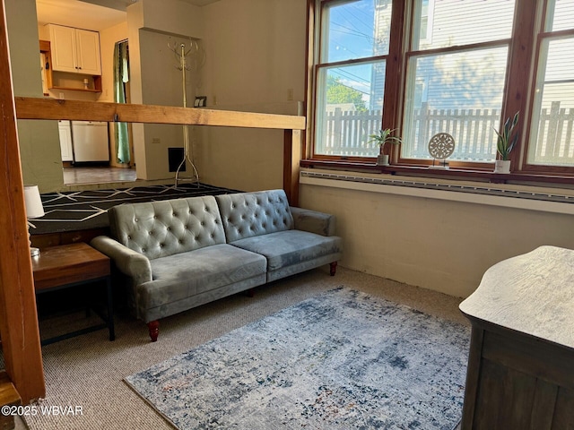 61 W Houston Ave, Montgomery, PA 17752 - view of carpeted living room