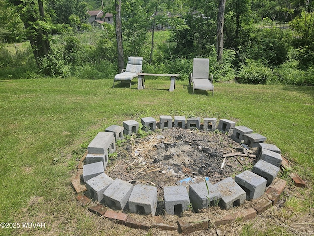 93 Woodside Rd, Danville, PA 17821 - view of grassy yard