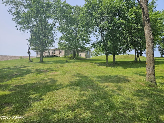 93 Woodside Rd, Danville, PA 17821 - view of green lawn