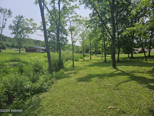 93 Woodside Rd, Danville, PA 17821 - view of green lawn with an outbuilding