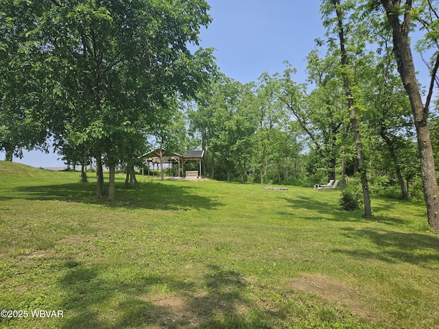 93 Woodside Rd, Danville, PA 17821 - view of green lawn