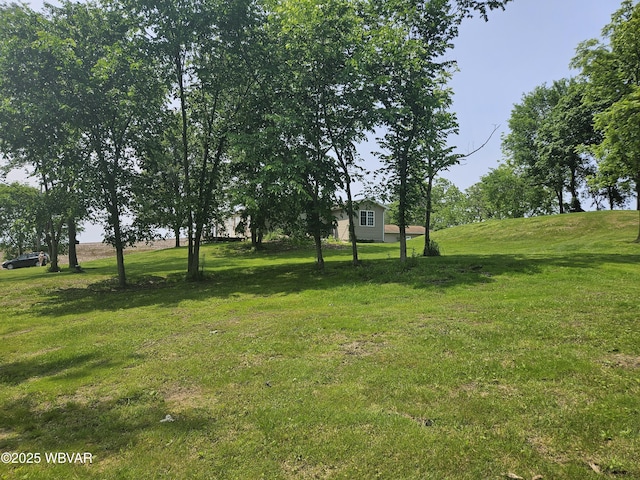 93 Woodside Rd, Danville, PA 17821 - view of green lawn