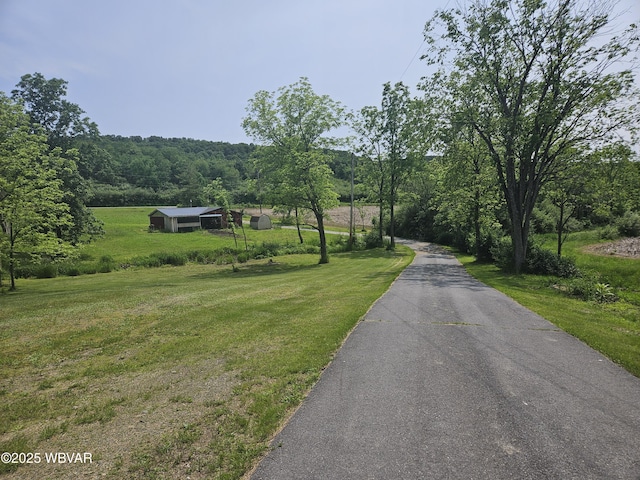 93 Woodside Rd, Danville, PA 17821 - view of road featuring a wooded view