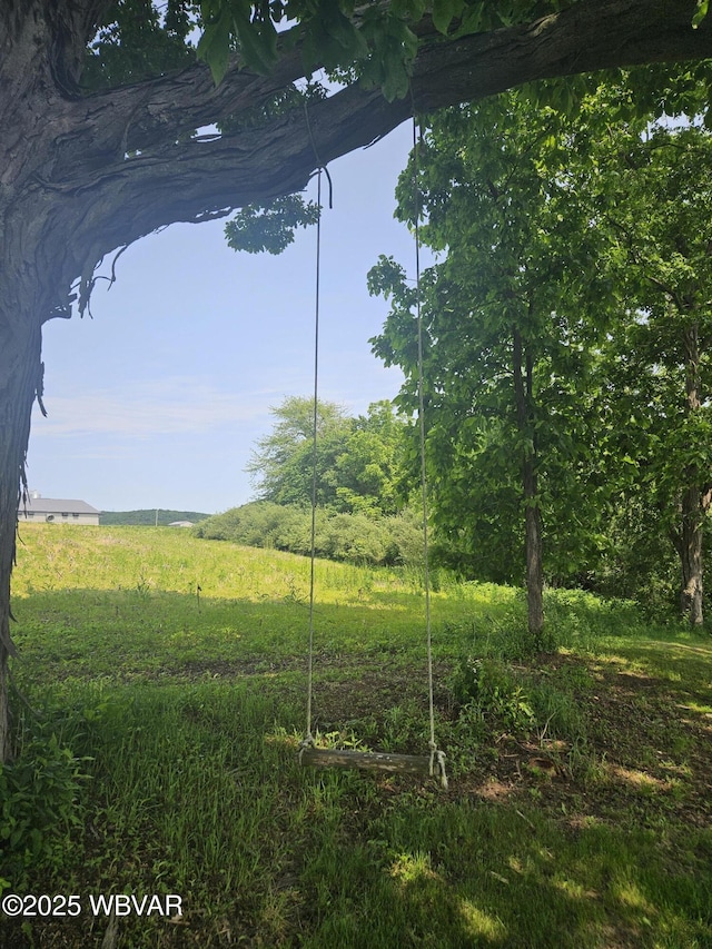 93 Woodside Rd, Danville, PA 17821 - view of yard
