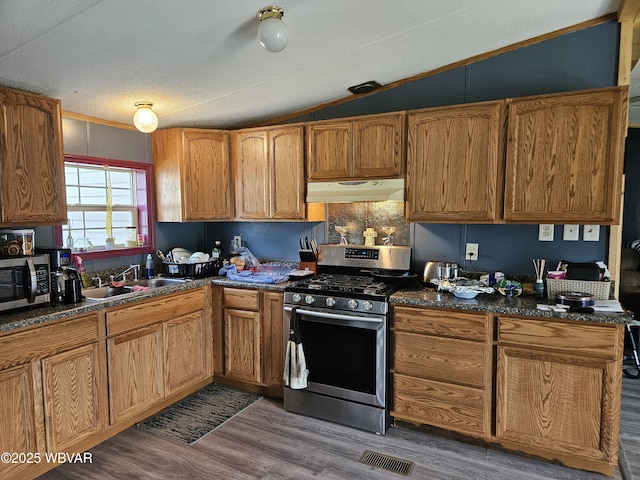 93 Woodside Rd, Danville, PA 17821 - kitchen with appliances with stainless steel finishes, under cabinet range hood, vaulted ceiling, wood finished floors, and dark countertops