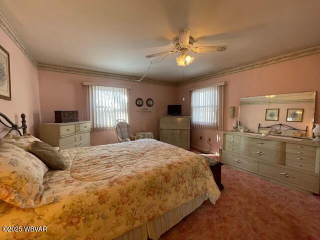 carpeted bedroom with multiple windows, ceiling fan, and ornamental molding