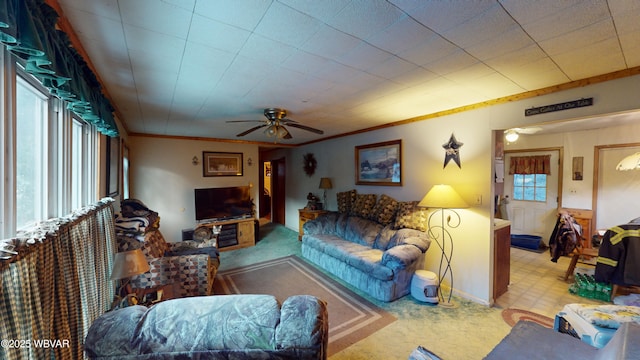 carpeted living room featuring a healthy amount of sunlight, ceiling fan, and crown molding