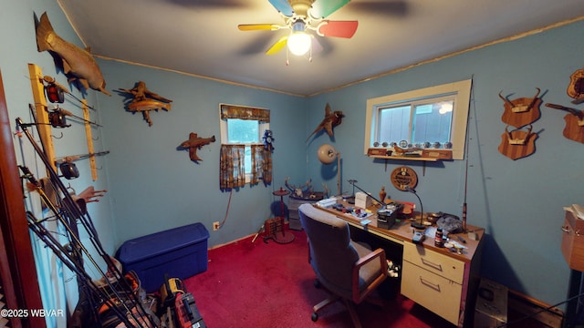 carpeted office with ceiling fan