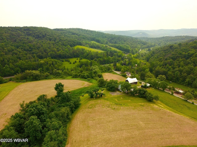106 Cresent Hill Rd, Cogan Station, PA 17728 - aerial view of a forest and a mountainous background