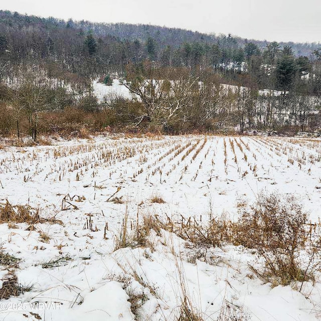 snowy view with a rural view