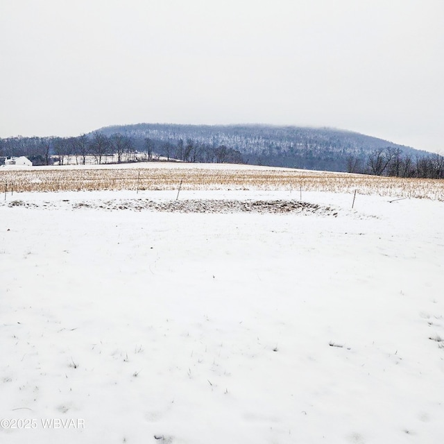 water view featuring a rural view