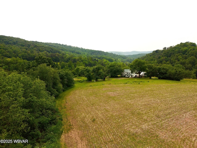 106 Cresent Hill Rd, Cogan Station, PA 17728 - view of mountain background with rural landscape and a forest