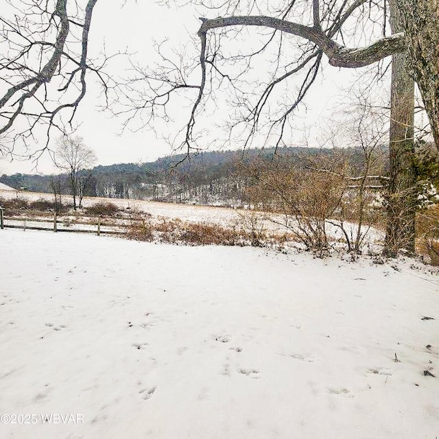 view of snowy yard