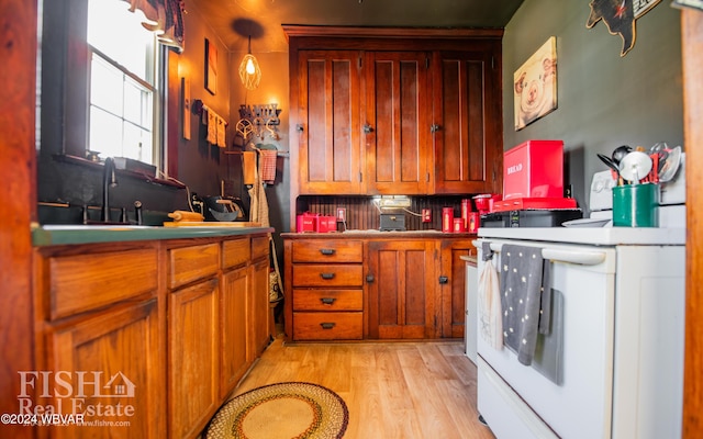 kitchen featuring tasteful backsplash, light hardwood / wood-style flooring, hanging light fixtures, and sink