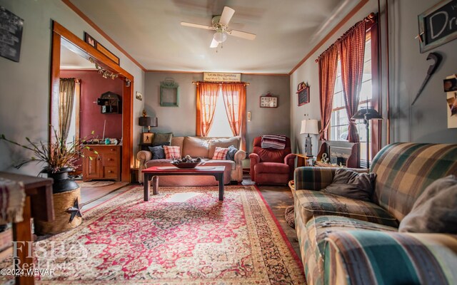 living room with ceiling fan, wood-type flooring, and ornamental molding