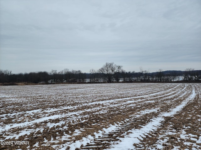 Cemetery Rd, Milton, PA 17847 - photo 3