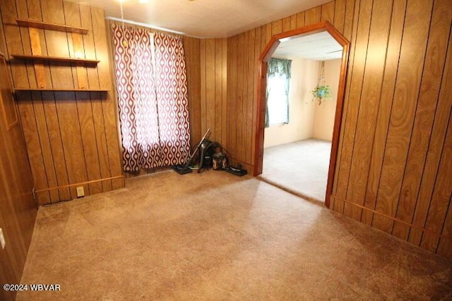 empty room featuring carpet floors and wooden walls