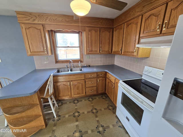 kitchen with a sink, open shelves, under cabinet range hood, white appliances, and a peninsula