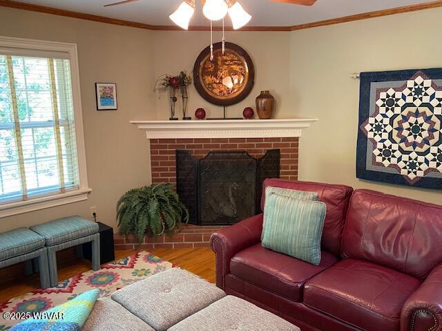 1550 Campbell St, Williamsport, PA 17701 - living area featuring crown molding, ceiling fan, wood finished floors, and a fireplace
