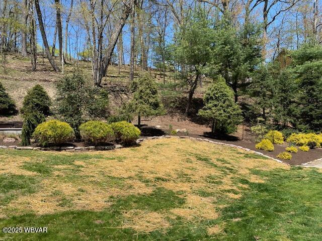 1550 Campbell St, Williamsport, PA 17701 - view of yard