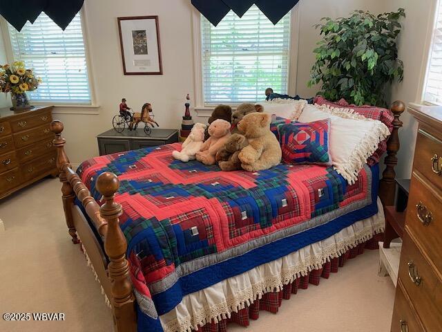 1550 Campbell St, Williamsport, PA 17701 - carpeted bedroom featuring multiple windows