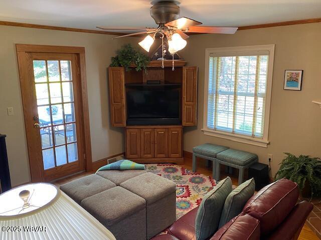 1550 Campbell St, Williamsport, PA 17701 - living room with crown molding, ceiling fan, and wood finished floors