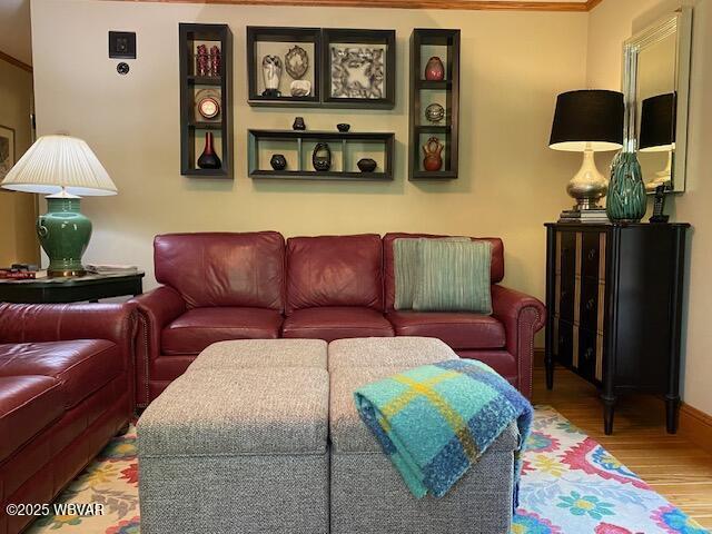 1550 Campbell St, Williamsport, PA 17701 - living room featuring baseboards and wood finished floors