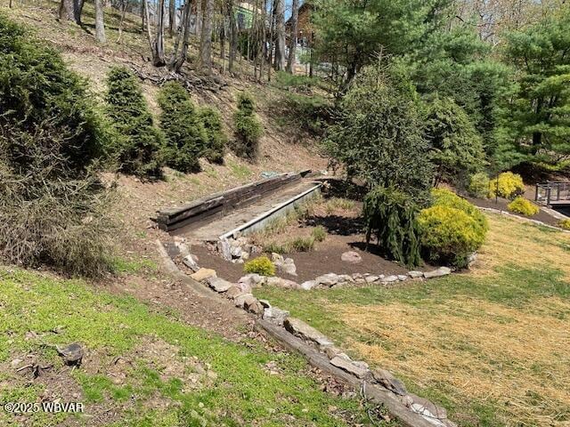 1550 Campbell St, Williamsport, PA 17701 - view of yard
