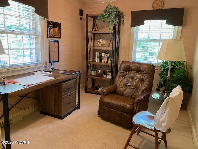 1550 Campbell St, Williamsport, PA 17701 - office area featuring plenty of natural light and light carpet