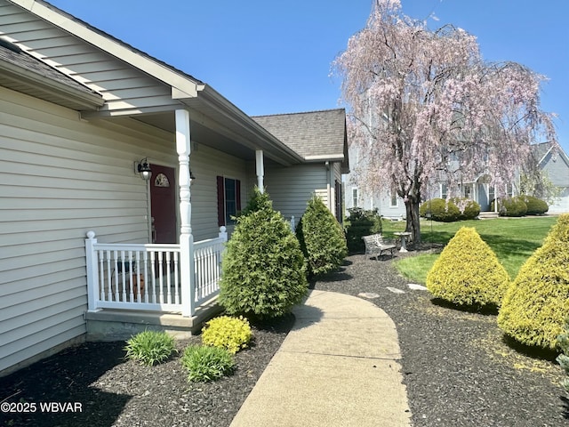 2035 Woodland Rd, Montoursville, PA 17754 - view of exterior entry with a shingled roof and a porch