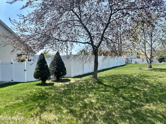 2035 Woodland Rd, Montoursville, PA 17754 - view of yard