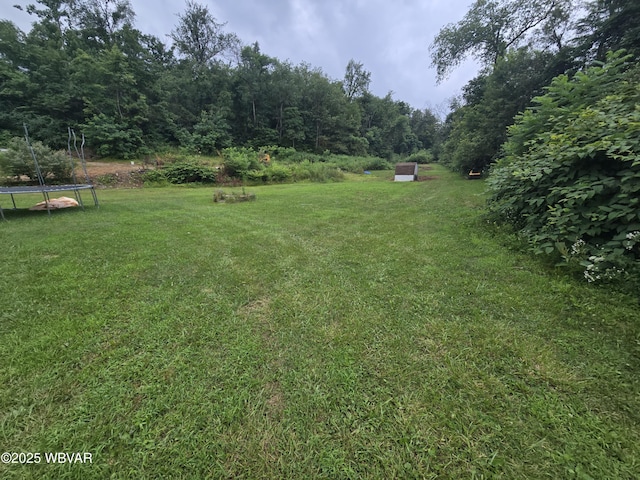 221 S Hill Rd, New Columbia, PA 17856 - photo 31