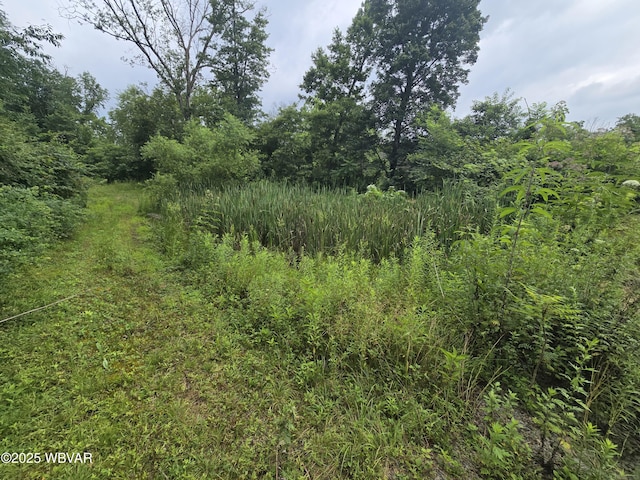 221 S Hill Rd, New Columbia, PA 17856 - photo 27