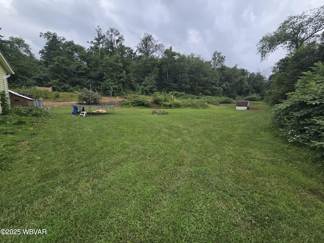 221 S Hill Rd, New Columbia, PA 17856 - photo 32