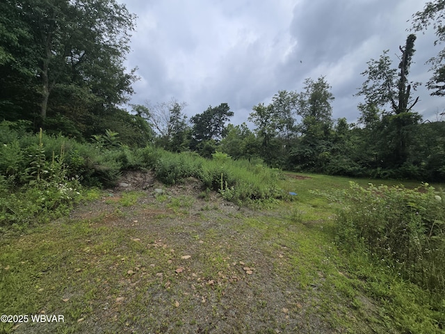 221 S Hill Rd, New Columbia, PA 17856 - photo 26