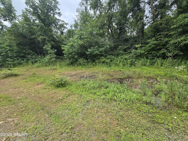 221 S Hill Rd, New Columbia, PA 17856 - photo 29