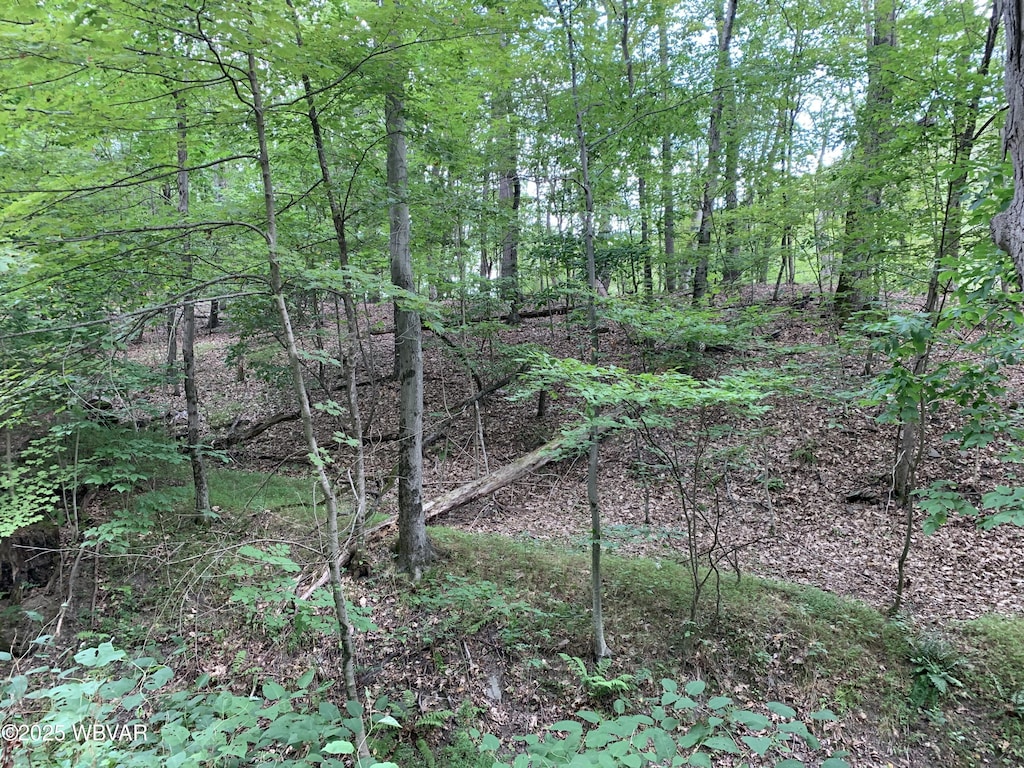 50 Lin Ridge Dr, Lock Haven, PA 17745 - photo 1