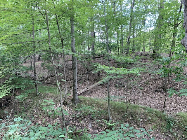 50 Lin Ridge Dr, Lock Haven, PA 17745 - photo 1