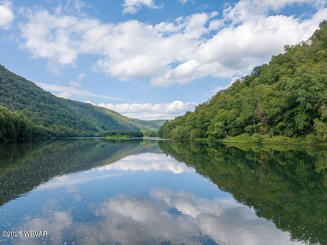 229 River Rd, Renovo, PA 17764 - view of water feature featuring a wooded view and a mountain view