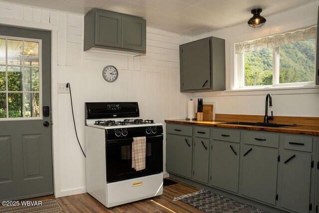 229 River Rd, Renovo, PA 17764 - kitchen featuring dark wood-style flooring, wooden counters, a sink, gray cabinetry, and gas range