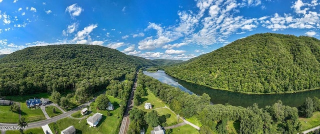 229 River Rd, Renovo, PA 17764 - birds eye view of property featuring a water and mountain view and a forest view