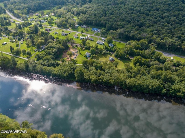 229 River Rd, Renovo, PA 17764 - drone / aerial view featuring a water view