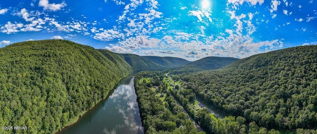 229 River Rd, Renovo, PA 17764 - view of mountain feature featuring a forest view