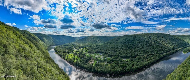 229 River Rd, Renovo, PA 17764 - view of mountain feature featuring a water view and a wooded view