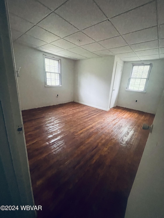 basement featuring a paneled ceiling, hardwood / wood-style flooring, and a healthy amount of sunlight