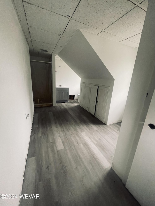 additional living space with hardwood / wood-style floors and lofted ceiling